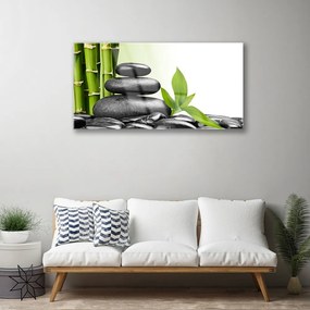 Obraz plexi Bambus kamene zen umenie 100x50 cm