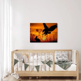 Obraz siluety dravca (70x50 cm)