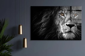 Dizajnový obraz LION 100x70 cm, viacfarebný