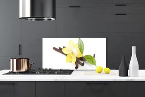 Sklenený obklad Do kuchyne Vanilka listy rastlina 120x60 cm