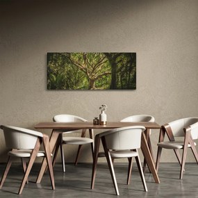 Obraz stromov (120x50 cm)
