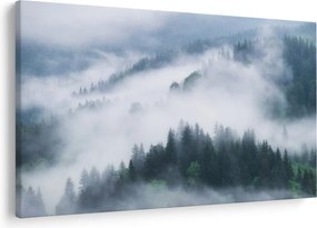 Obraz - Stromy v hmle (90x60 cm)