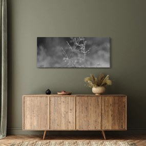 Obraz - Vidiecka lúka (120x50 cm)