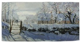 Sablio Uterák Straka - Claude Monet - 30x50 cm