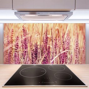 Sklenený obklad Do kuchyne Pšenica rastlina príroda 125x50 cm