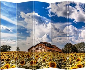 Paraván - Slnečnicové polia (210x170 cm)