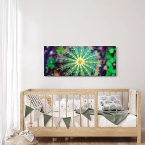 Obraz kaktusu (120x50 cm)