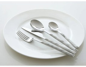 Antikoro príbor v striebornej farbe 16 ks Avie – Premier Housewares