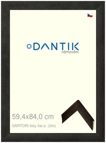 DANTIK rám na obraz 59,4x84 | SARTORI listy čer.s. (Plexi Čiré)