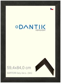 DANTIK rám na obraz 59,4x84 | SARTORI listy čer.s. (Plexi Čiré)