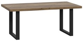 Konferenčný stolík Haruki Alpský Smrek/čierny/kov