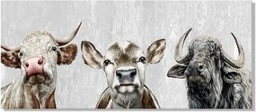 Obraz na plátne 1500x35x650 Kravy a býci