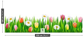 Fototapeta Vliesová Tulipány tráva 152x104 cm