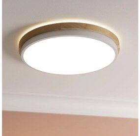 Brilliant - LED St. stropné svietidlo BAARLO LED/24W/230V pr. 35 cm biela