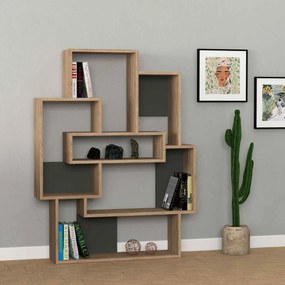 Designová knižnica TRINI, dub / antracit