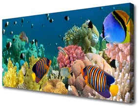 Obraz na plátne Koralový útes príroda 100x50 cm