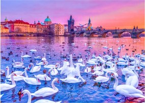 Sklenený obraz - Praha (70x50 cm)
