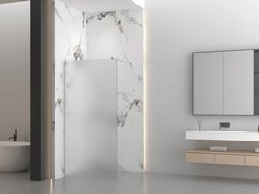 Erga Paris, sprchová zástena Walk-In 30x200 cm, 8mm sklo námraza, brúsená oceľ, ERG-V02-PARIS-030x200-FR-BS