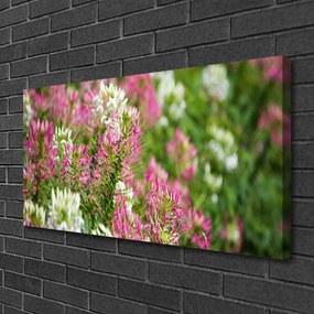 Obraz Canvas Poľné kvety lúka príroda 140x70 cm