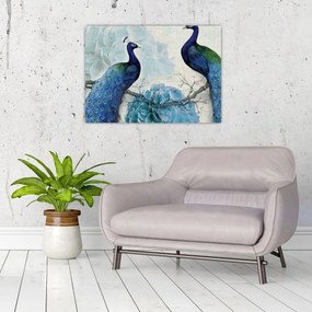 Obraz - Pávy s textúrami (70x50 cm)