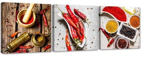 Gario Sada obrazov na plátne Pálivé korenie z čili papričiek - 3 dielna Rozmery: 90 x 30 cm