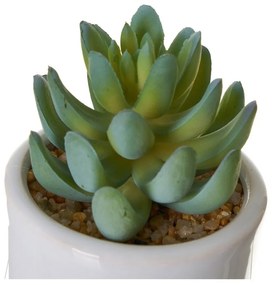 Umelé kvety v súprave 4 ks Cactus – Casa Selección