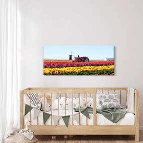 Obraz tulipánové farmy (120x50 cm)