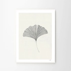 The Poster Club Plagát Ginkgo Leaf by Ana Frois 40x50 cm