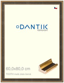 DANTIK rám na obraz 60x80 | TOOTH malá zlato černá (Plexi Čiré)