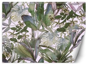 Fototapeta, Monstera a tropické listy - 250x175 cm