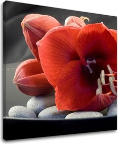 Obraz na stenu FENG SHUI FS032E12