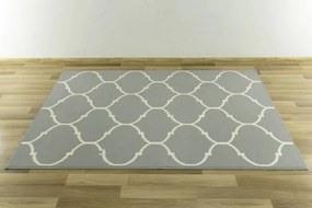 Koberec LUNA 502682/89944 šedý