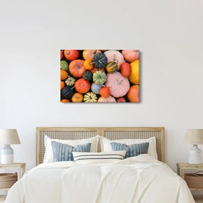 Obraz - Tekvica (90x60 cm)