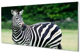 Nástenný panel  Zebra box 100x50 cm
