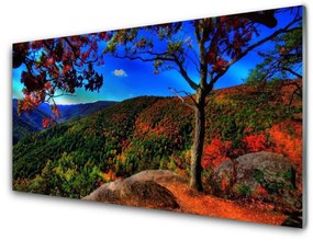 Nástenný panel  Hora les príroda 120x60 cm