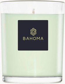Vonná sviečka Alchemy (Primrose, Amberwood)