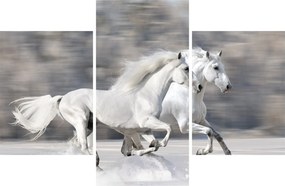 Obraz - Biele kone v zime (90x60 cm)