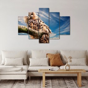Obraz sovy (150x105 cm)
