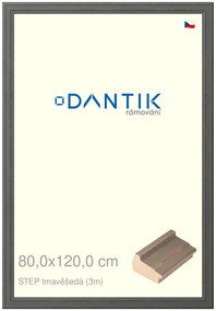 DANTIK rám na obraz 80x120 | STEP tmavěšedá (Plexi Čiré)