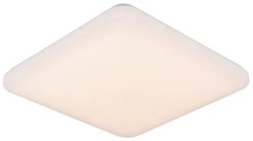 LED Stmievateľné stropné svietidlo s hlasovým ovládaním OPAL LED/48W/230V + DO