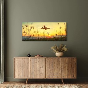 Obraz vzlietajúceho lietadla (120x50 cm)