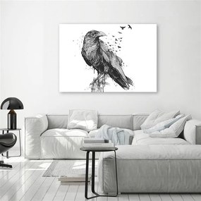 Gario Obraz na plátne Čiernobiely vták - Rykker Rozmery: 60 x 40 cm