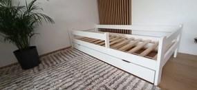 Raj posteli Detská posteľ SMART DMJ 160 so zásuvkou