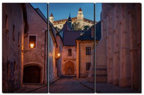 Obraz na plátne - Bratislava staré mesto s hradom vzadu 1265B (105x70 cm)