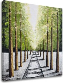 Obraz na plátne STROMY 1 dielny XOBDO145D1