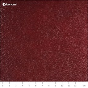 Červené kožené kreslo Max Winzer Norwin