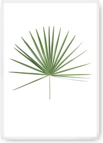 Plagát Tropical Leaf Green