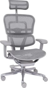Kancelárska stolička Ergohuman 2 Elite ST GS grey
