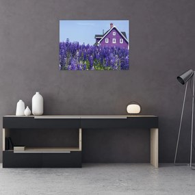 Obraz levanduľového poľa (70x50 cm)