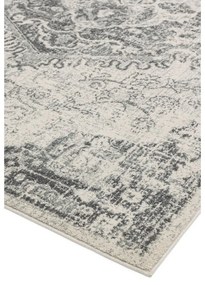 Sivo-krémový koberec 200x290 cm Nova – Asiatic Carpets